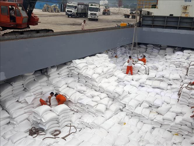 Nước nào đứng đầu thế giới về xuất khẩu gạo?