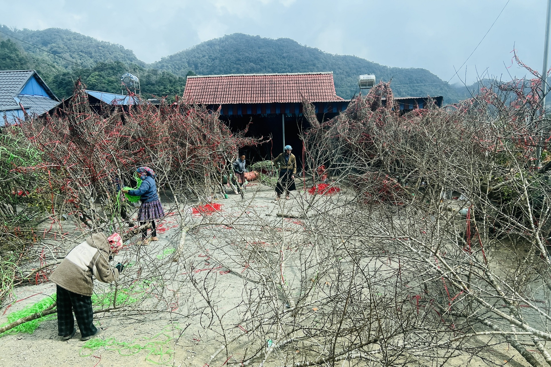 Giảm nghèo thông tin cho bà con dân tộc thiểu số ở Sơn La