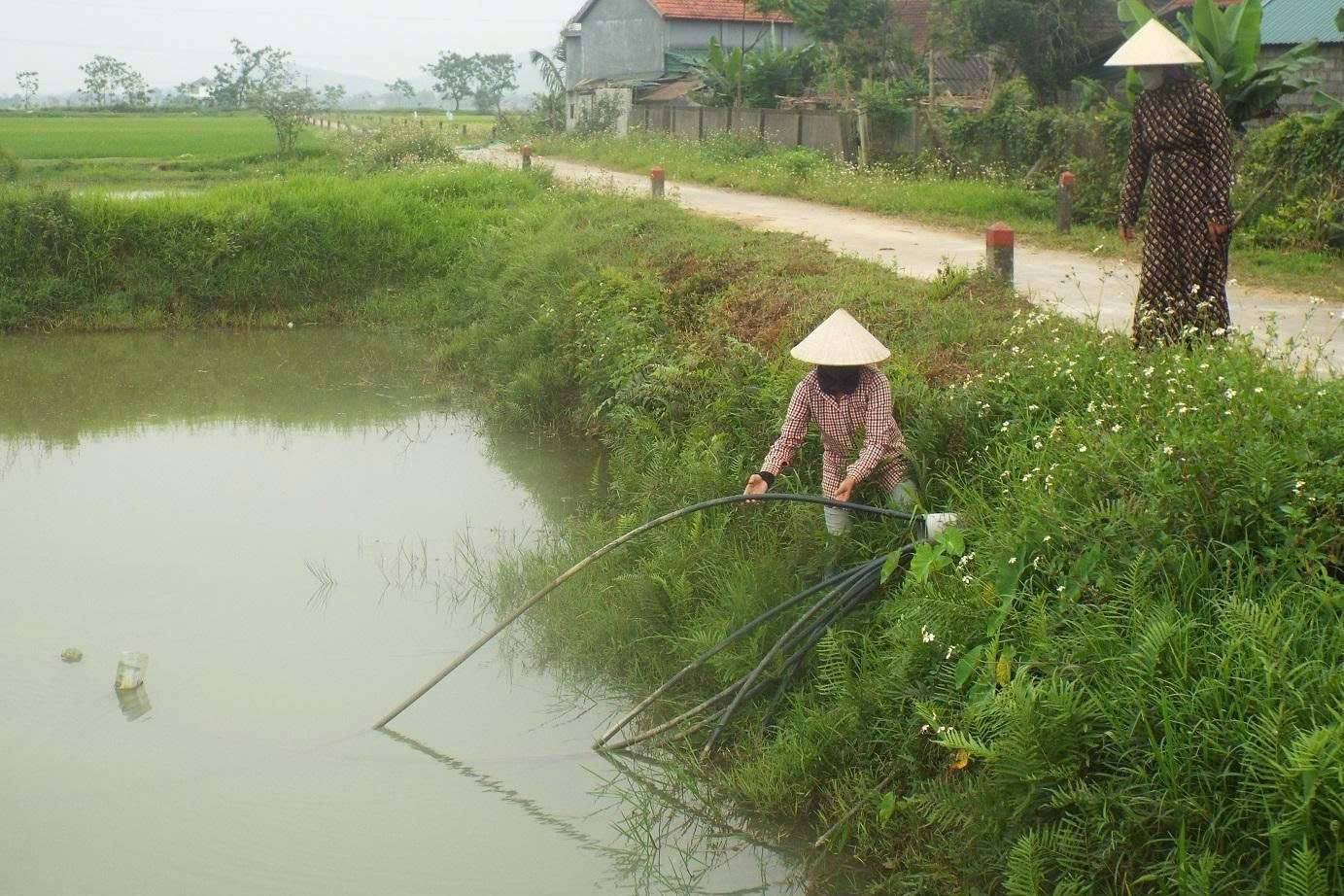 Người dân dùng nước ao hồ để sinh hoạt giữa nắng nóng gay gắt