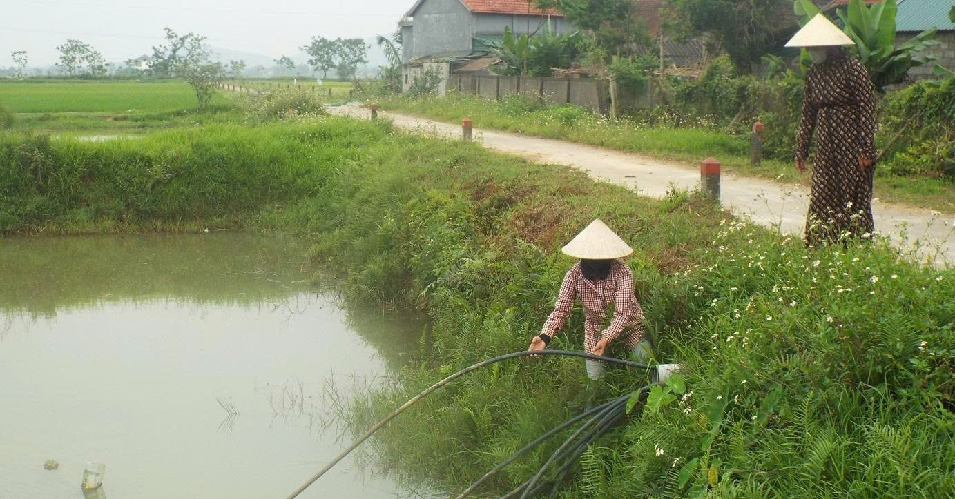 Người dân dùng nước ao hồ để sinh hoạt giữa nắng nóng gay gắt