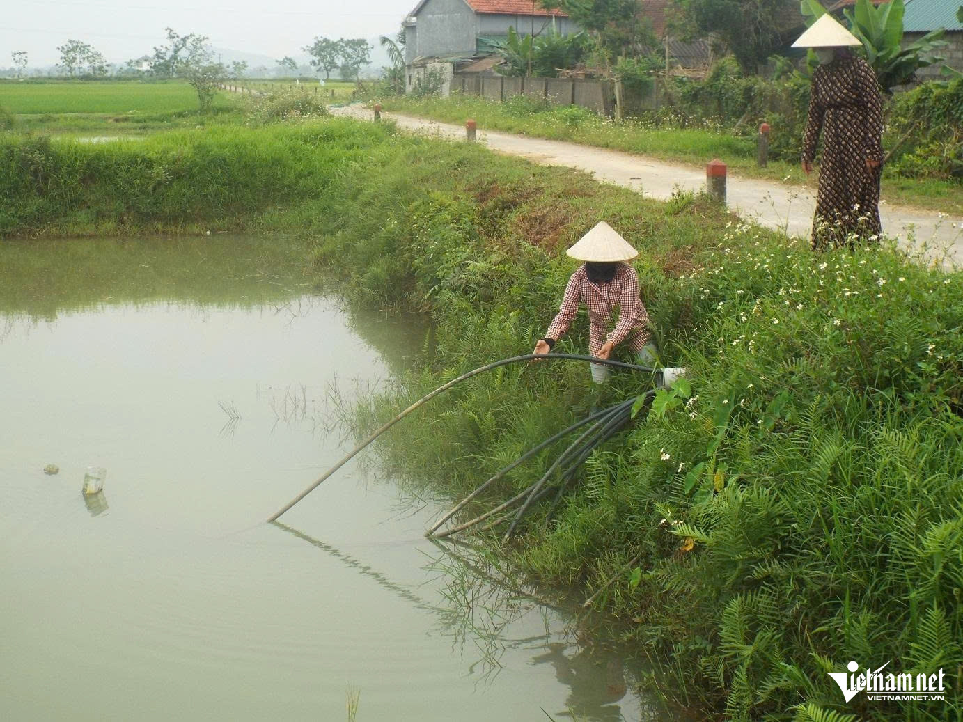 W-a mất nước6.jpg