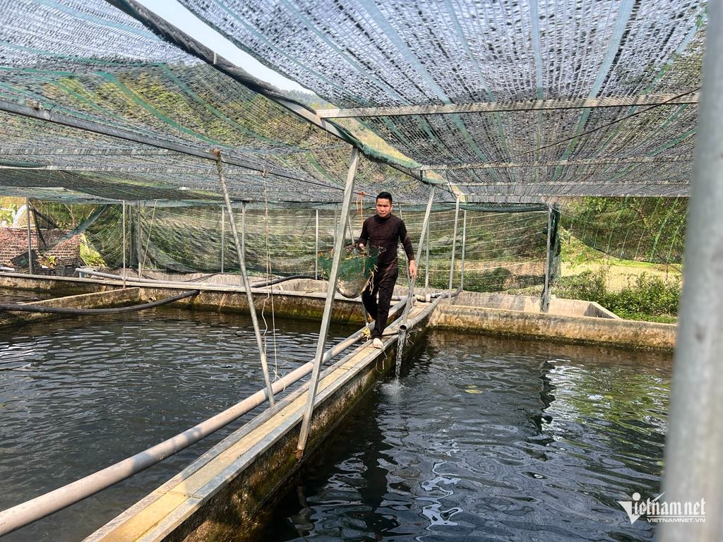 Box https://static-images.vnncdn.net/vps_images_publish/000001/000003/2026/4/7/w-anh-4-2945.jpg