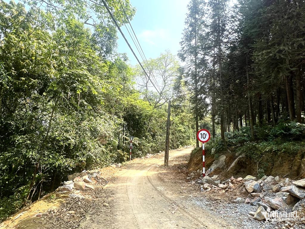 Box https://static-images.vnncdn.net/vps_images_publish/000001/000003/2026/4/7/w-anh-5-2979.jpg