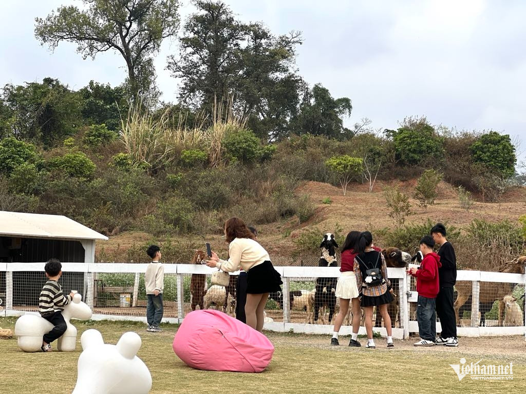 Box https://static-images.vnncdn.net/vps_images_publish/000001/000003/2026/4/7/w-anh-6-3000.jpg