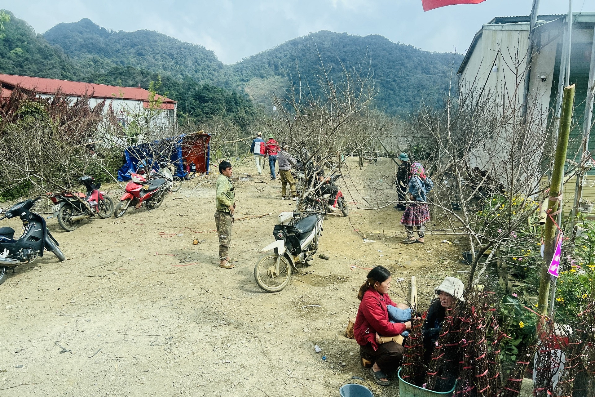 Phấn đấu thu nhập bình quân của người thiểu số bằng 1/2 bình quân của cả nước