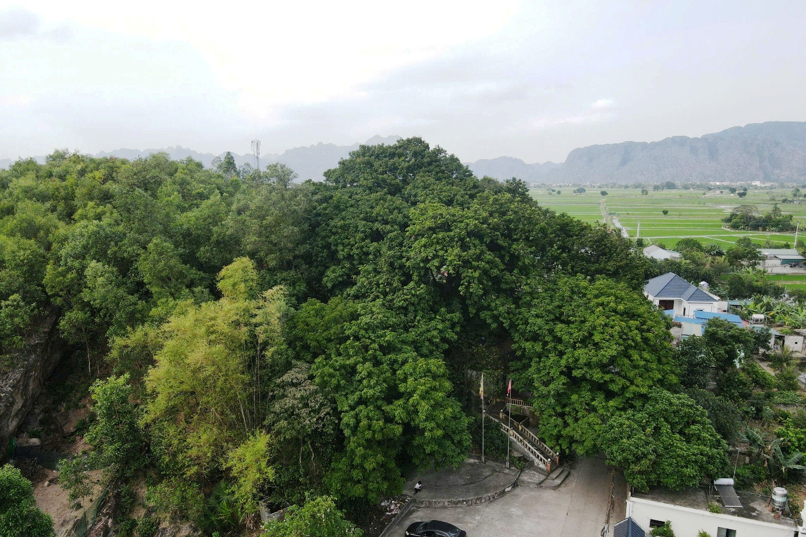 Cả làng bảo vệ 'báu vật' hàng trăm tuổi trên đồi Bích Sơn ở Ninh Bình