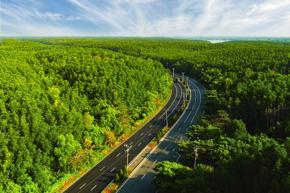  Green Family Walk - giải đi bộ gắn kết ba thế hệ tại Vinhomes Green Paradise 