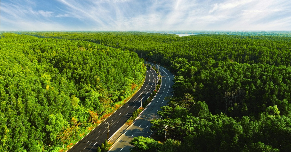 Green Family Walk - giải đi bộ gắn kết ba thế hệ tại Vinhomes Green Paradise