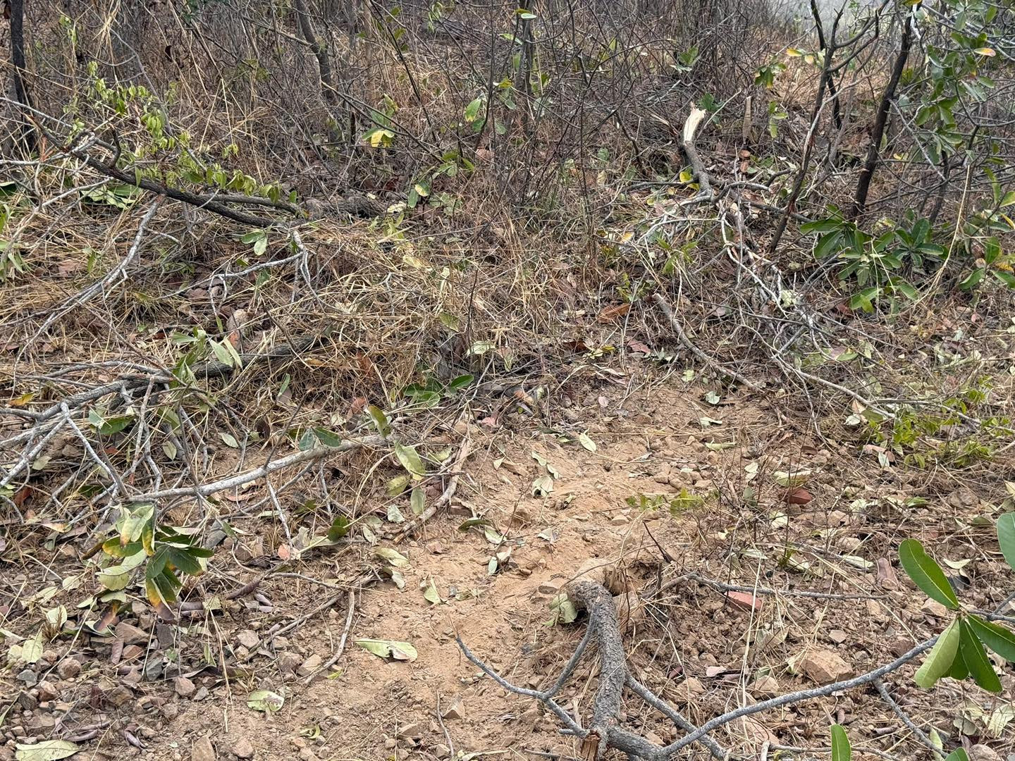 Hiện trường xe tải lao xuống triền núi ở Lâm Đồng khiến 3 người tử vong.4.jpg