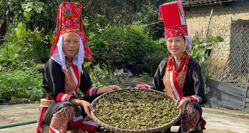 Công Nghệ Số Vượt Núi Băng Rừng, Thay Đổi Cuộc Sống Vùng Cao