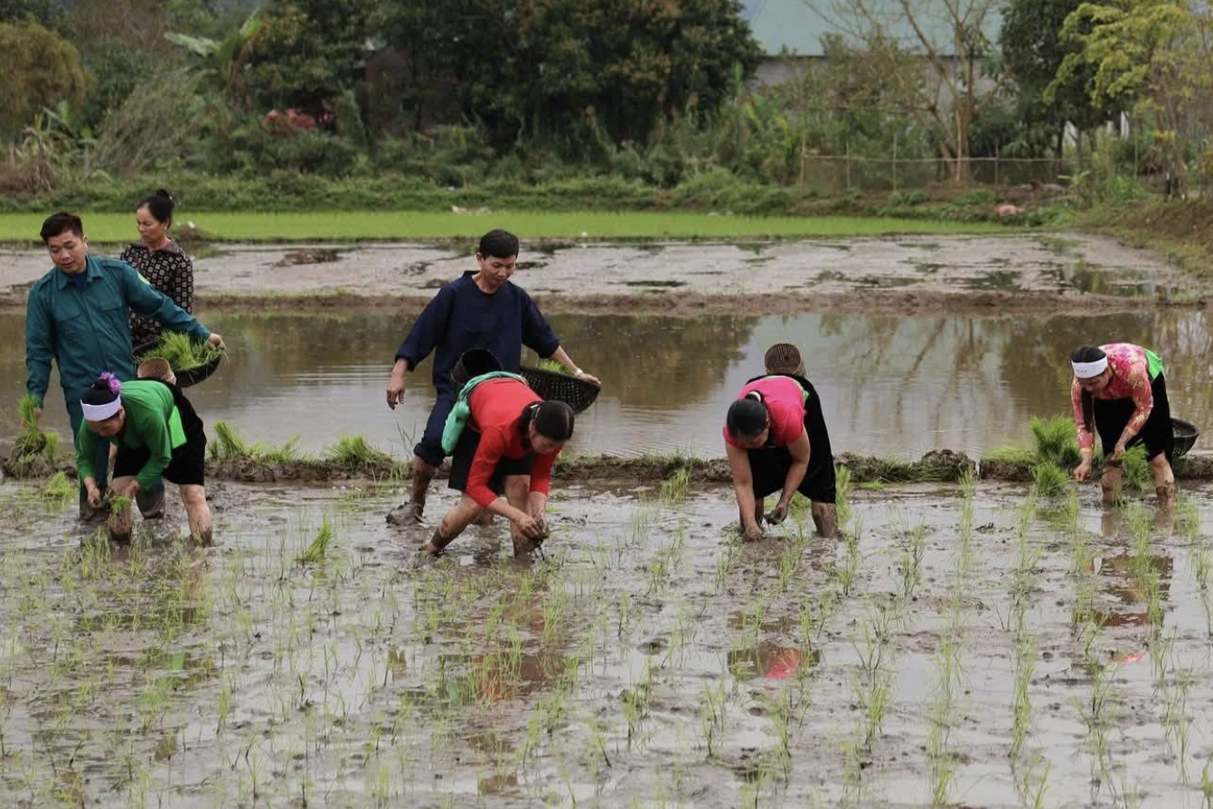 Tăng giàu thông tin, khơi dậy ý chí thoát nghèo của người Dao ở Phú Thọ