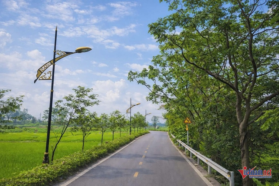 W-4fc75034 7b8a 486a 9a47 30abf8f6c1e0.jpg