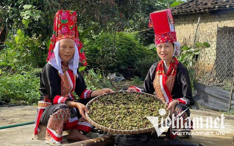 Khi Công Nghệ Vượt Núi, Băng Rừng Tới Bản Làng