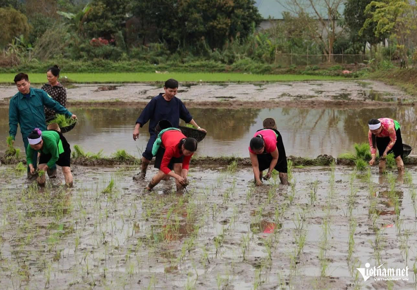 W-Đà Bắc Phú Thọ.png
