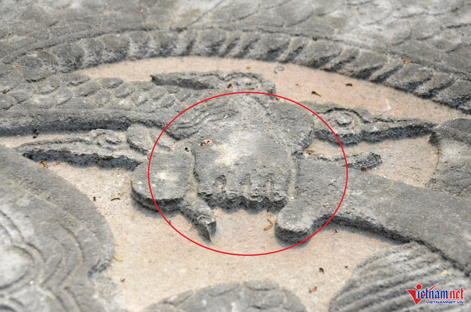 W-Long sàng 1.JPG.jpg