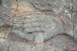 W-Long sàng Nghi môn 3.JPG.jpg