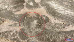 W-Long sàng tiền đường 3.jpg