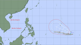 ap thap nhiet doi.jpg