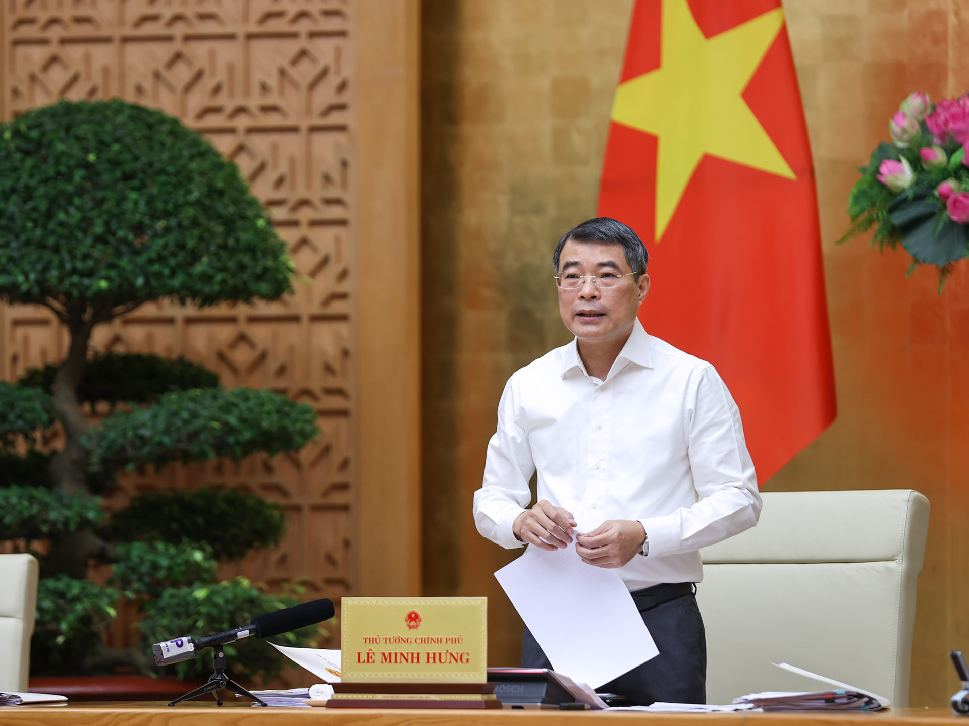 img3584 17757117940471600128971.jpg