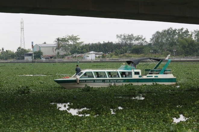 Người đàn ông đi xe máy đến cầu bất ngờ nhảy xuống, không ai kịp ngăn