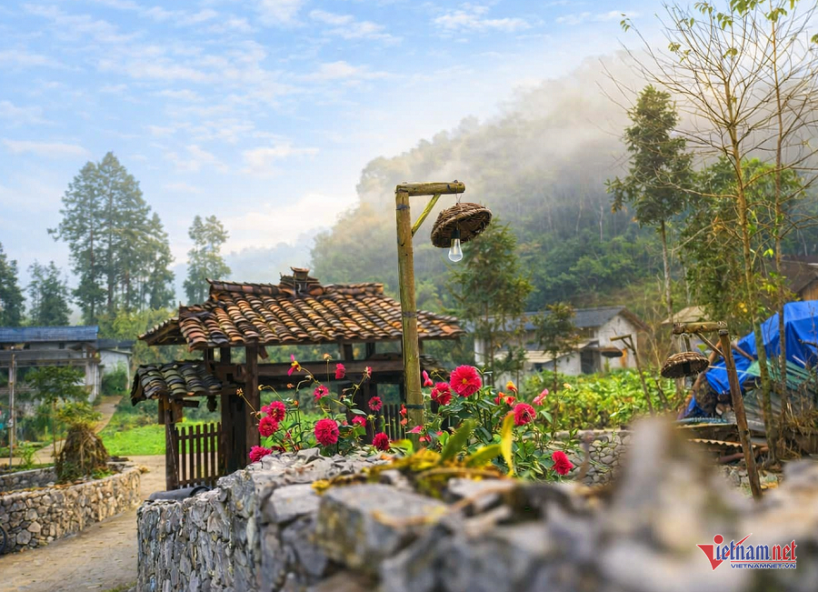 W-8783e544 7f09 45b2 85bd 8173848043f4.png