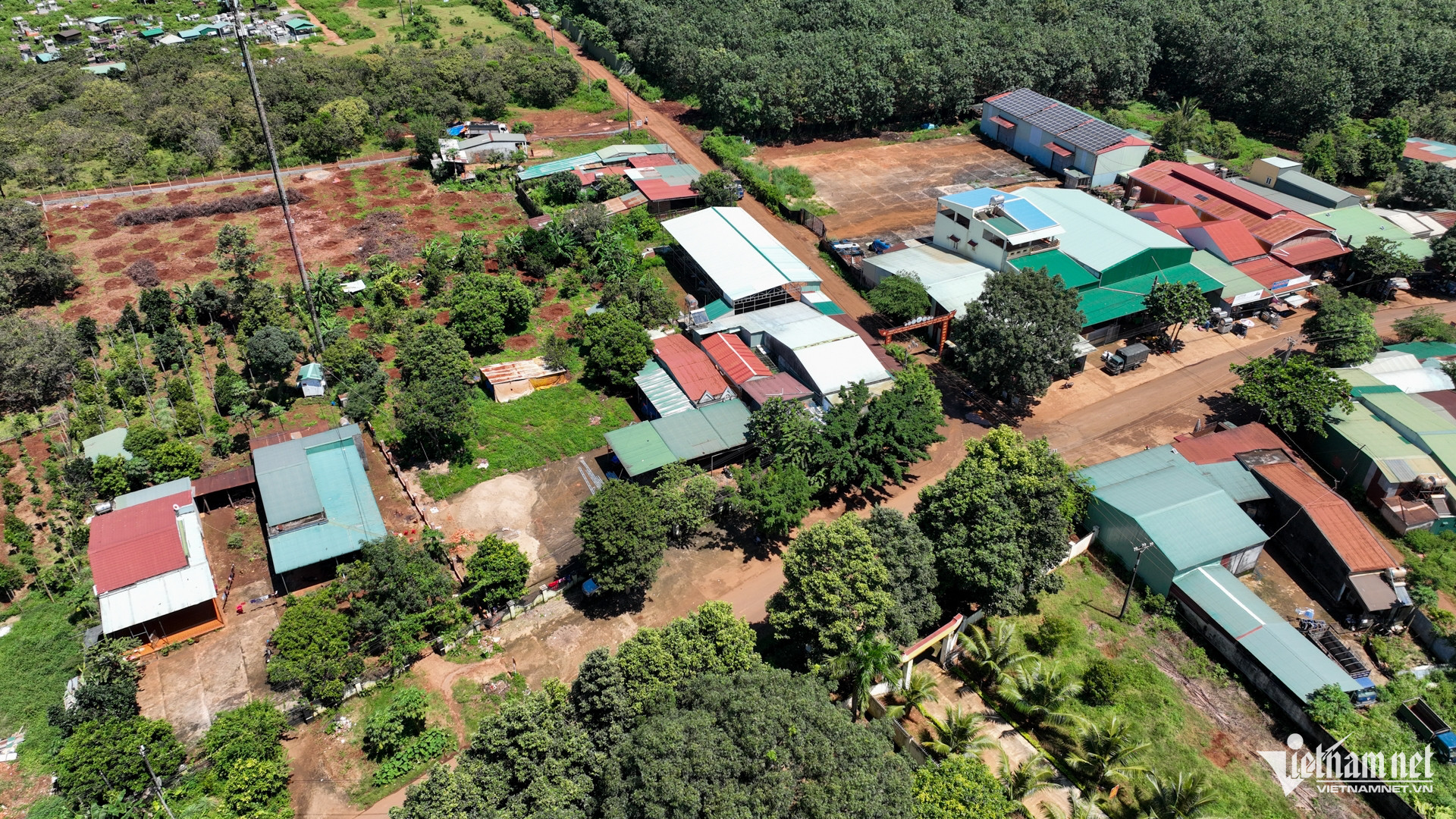 W-Gia Lai Nguyễn Huế 6.jpg