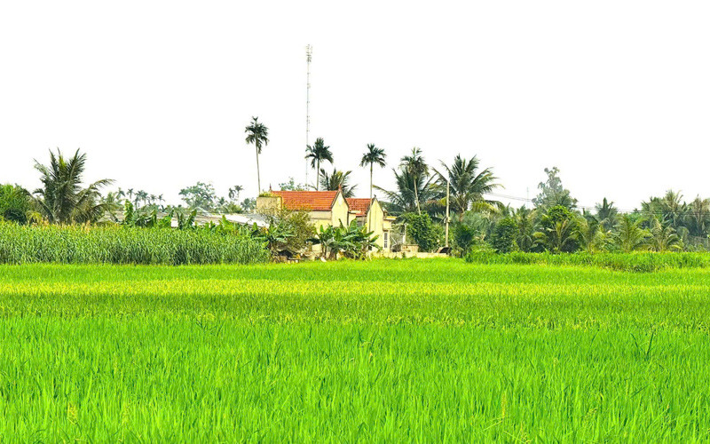 https://static-images.vnncdn.net/vps_images_publish/000001/000003/2026/5/11/anh-5-1525.jpg