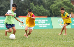 bong da 1.jpg