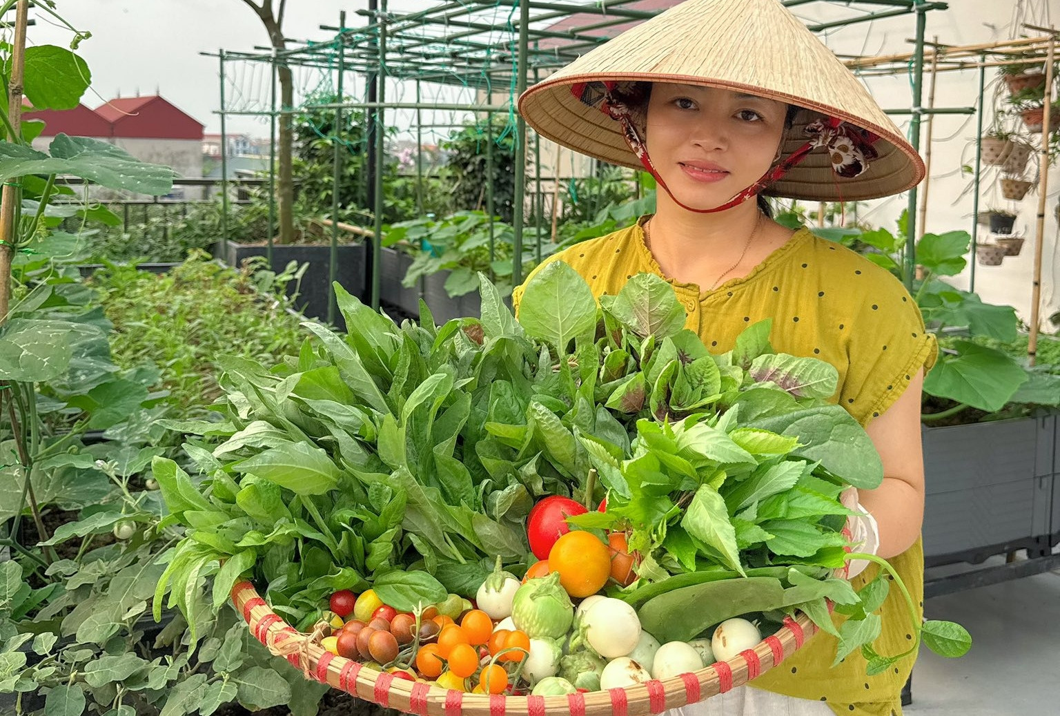 Chi 30 triệu làm vườn sân thượng, mẹ đảm Bắc Ninh tha hồ thu rau trái quanh năm