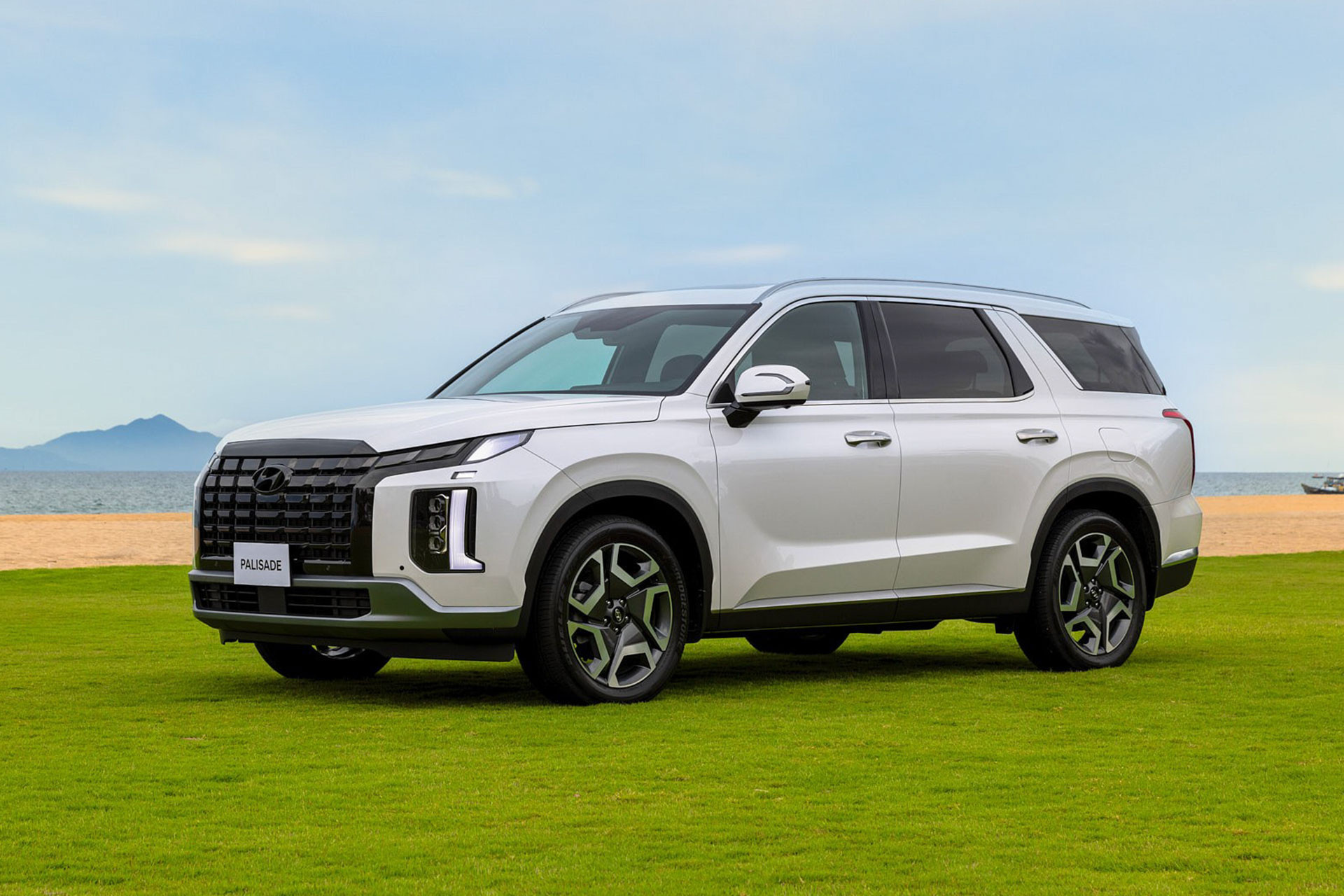 Hyundai Palisade.jpg