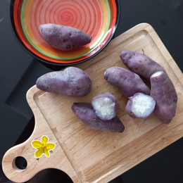 khoai lang luộc kim ngoan.png