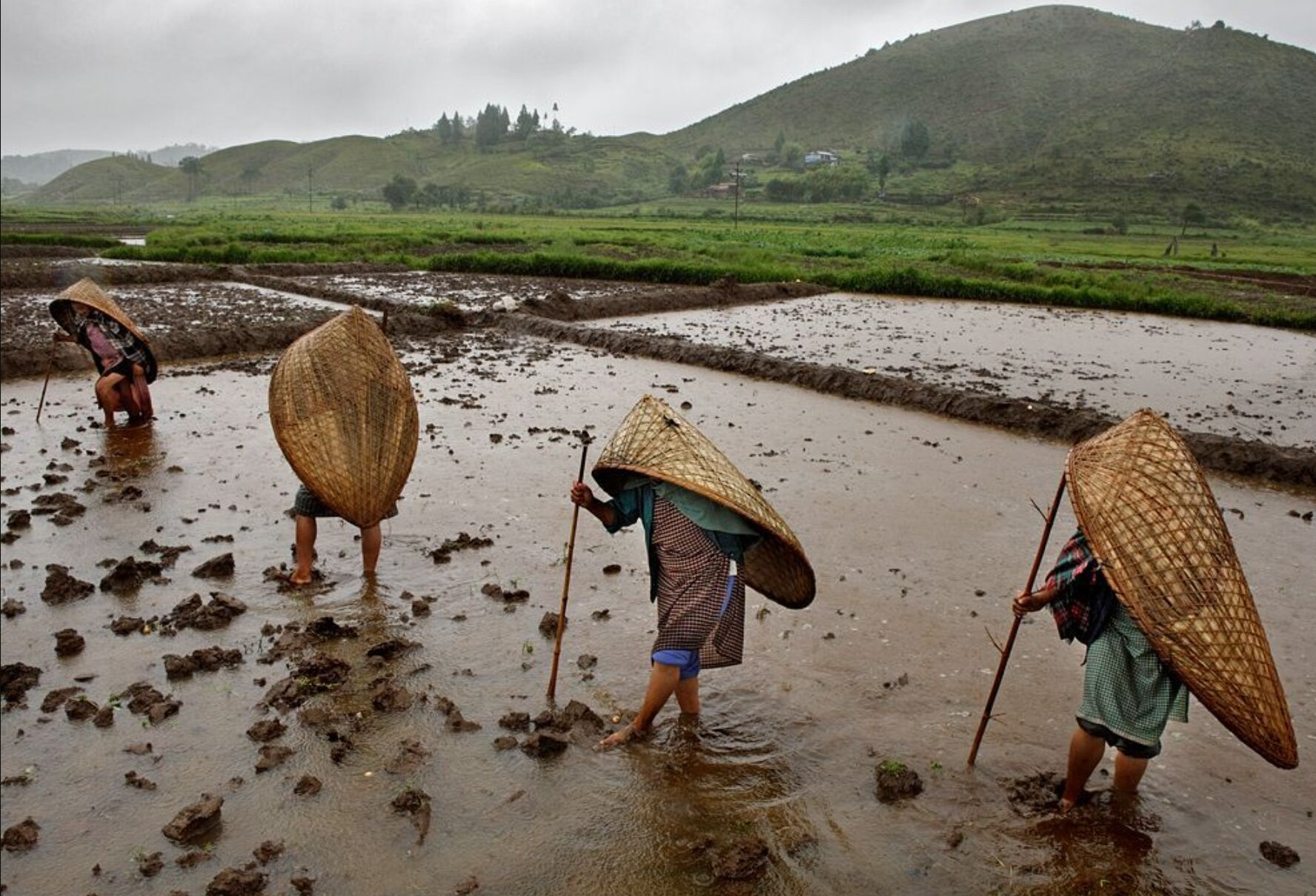 Ngôi làng nhiều mưa nhất thế giới, dân phủ cỏ mái nhà để giảm tiếng ồn