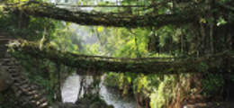 ngoilang90.
