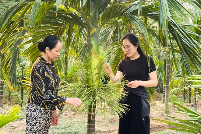 Thủ khoa đại học bỏ phố về quê nuôi 1.500 con gà, phát triển đầm tôm 6.000m²