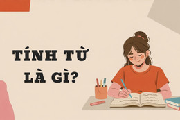tinh tu la gi 1.jpg