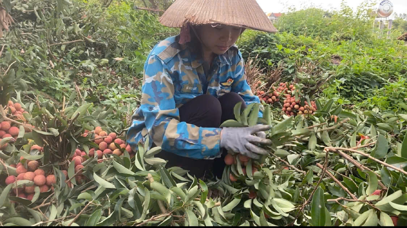 Cô gái bất ngờ vì mổ u vú chỉ 1,7 triệu, trước lo tốn tiền không dám đi viện 000 chua benh.png