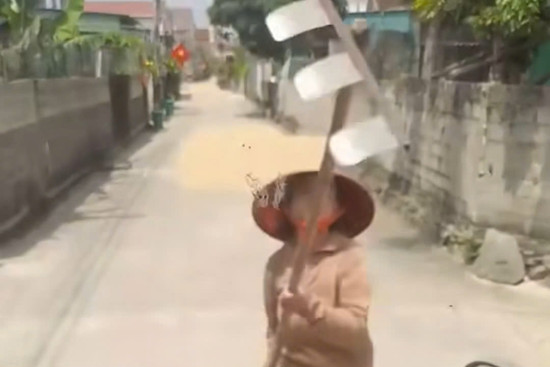 Bản tin chiều 13/5: Phơi lúa chiếm đường, người phụ nữ dùng cào tấn công tài xế