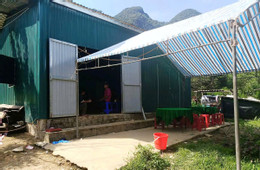 ảnh 2.jpg