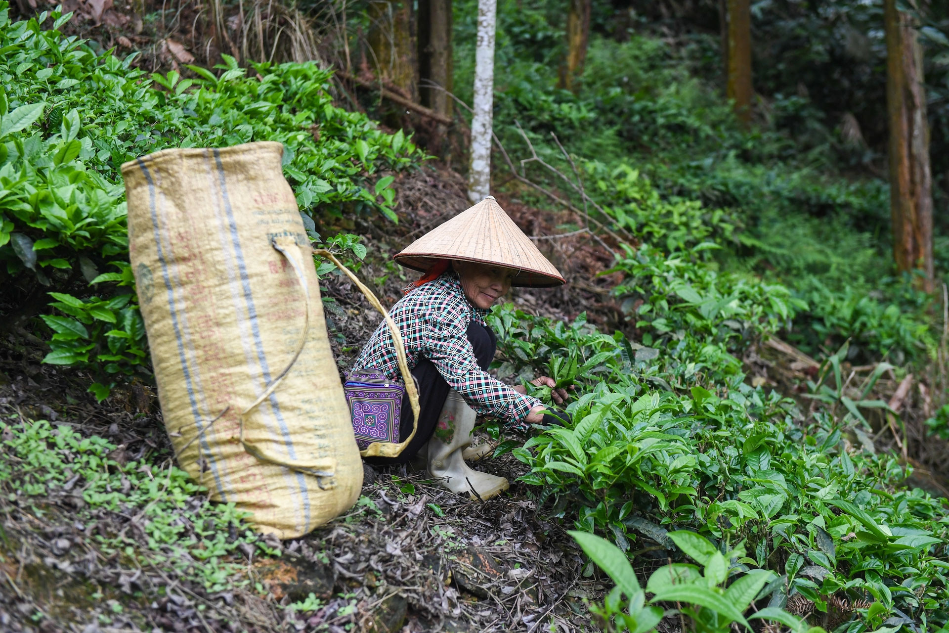 Chính sách dân tộc và miền núi và phép thử tư duy từ 'hỗ trợ' sang 'kiến tạo'