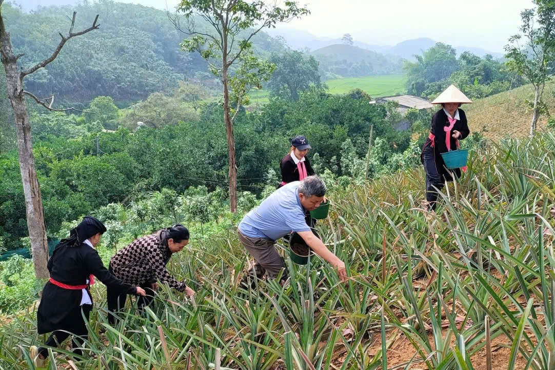 Giảm nghèo thông tin góp phần hiện thực hóa mục tiêu giảm nghèo đa chiều