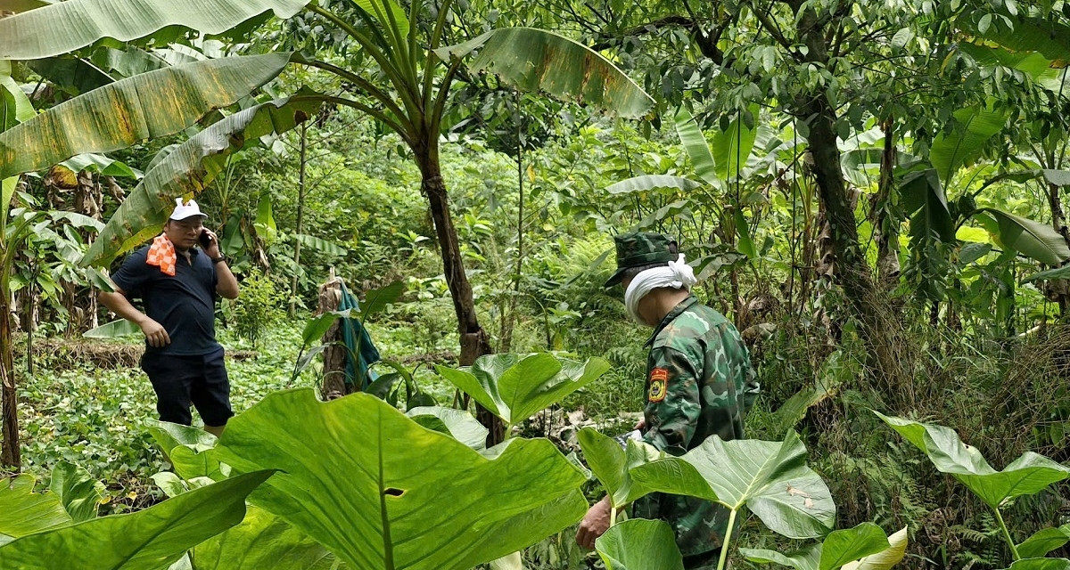 vietnamnet.vn