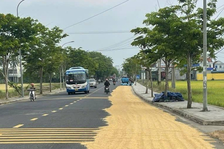 Lái xe qua đường phơi đầy thóc lúa, rơm rạ mùa gặt, tài xế cần lưu ý gì?