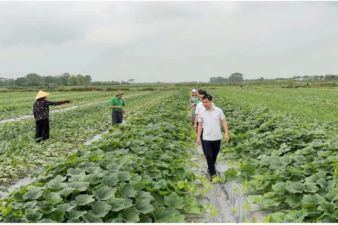 Lào Cai tăng tốc xóa lõm sóng, giảm nghèo thông tin vùng cao