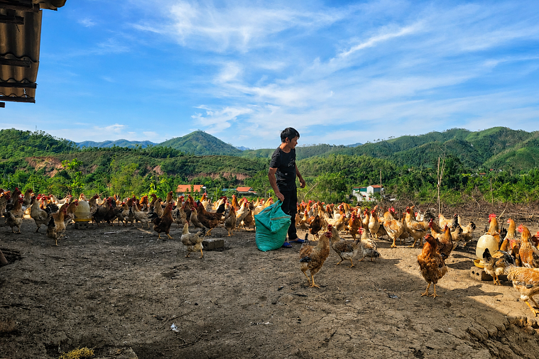 Lấy người dân làm trung tâm, thúc đẩy môi trường thông tin bình đẳng
