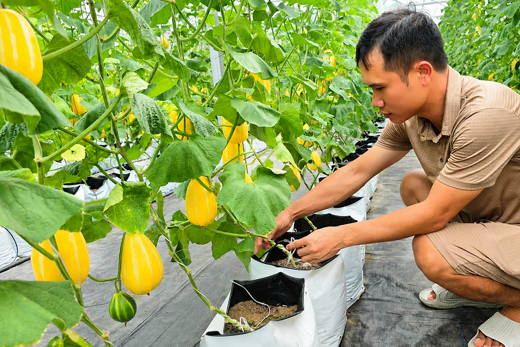 Sơn La: Nâng cao năng lực, hình thành “chủ thể số” từ giảm nghèo thông tin