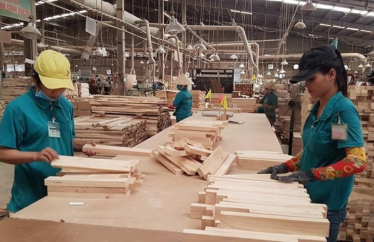 Thuế VAT 'mỗi nơi một kiểu', doanh nghiệp gỗ lo đứt nguồn cung gỗ rừng trồng