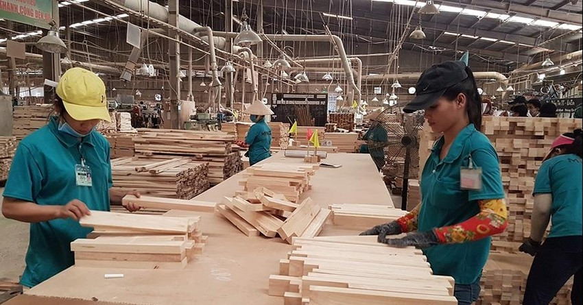 Thuế VAT "mỗi nơi một kiểu", doanh nghiệp gỗ lo đứt nguồn cung gỗ rừng trồng