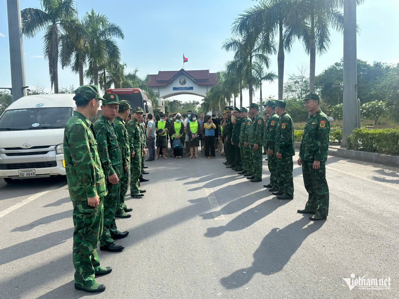 W-lừa đảo.jpg