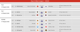 vleague vong 231.jpg