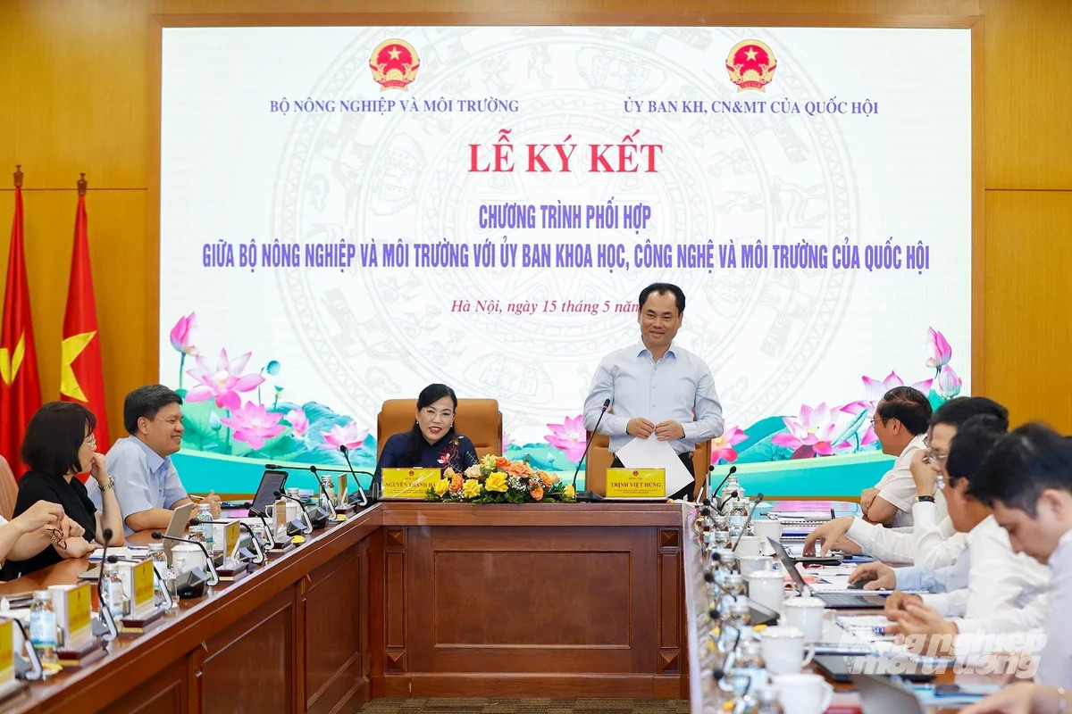 nguyenthanhhai